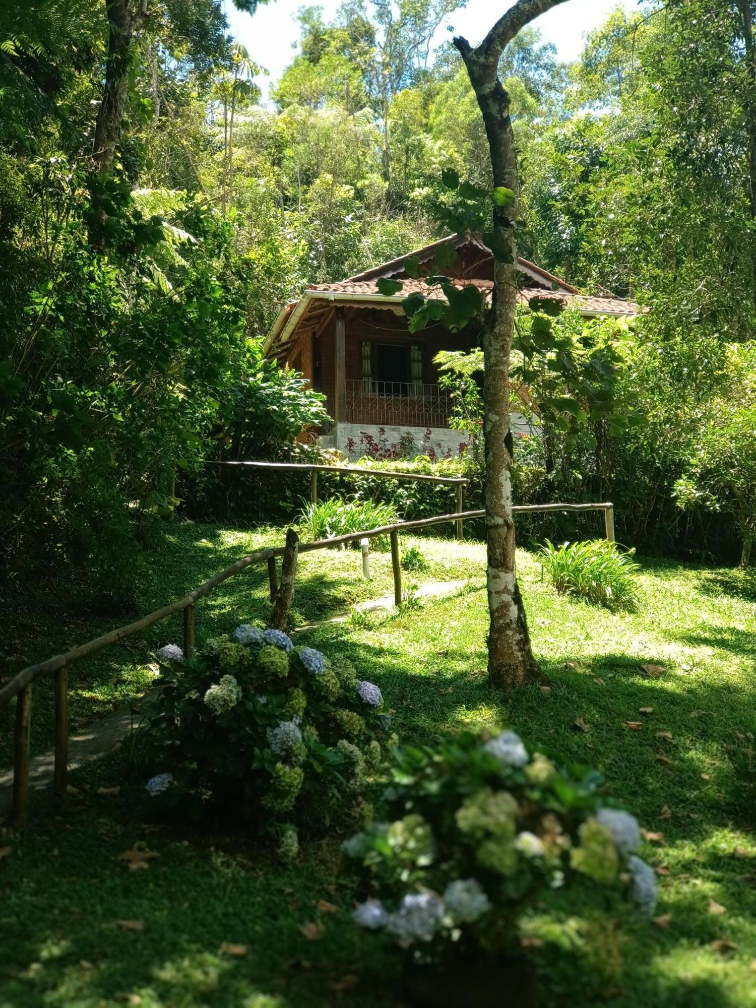 Superior Chalet,214361528:JPEG