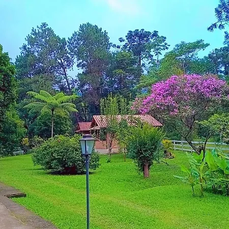 Pousada Bosque do Visconde-3